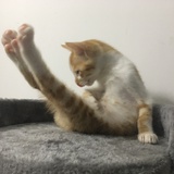 豆友4713273