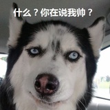 秀爷
