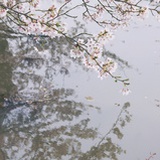 小A