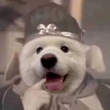 风中吃西瓜
