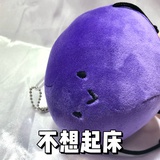 马上就去睡觉