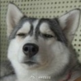 残涂水无法直视