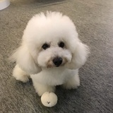ar啾啾啾啾啾