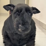 孤独的瞬息