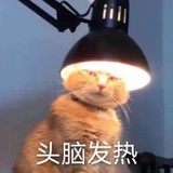你是人間小甜餅