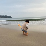 萤火虫