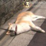 想回学校做学霸