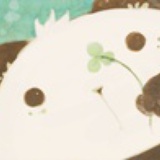 小金