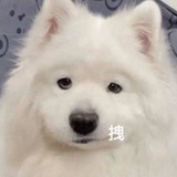 番茄炒蛋只吃蛋