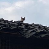 第三天