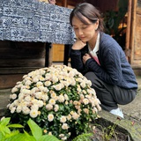 想进步的羊