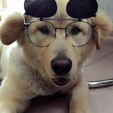 二叔是你二大爷