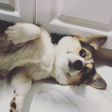 童年