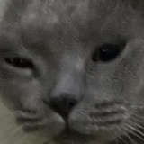 早起睡觉