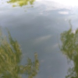 林小鱼
