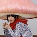 棱连玲籁