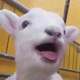 wa