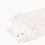 oidip