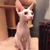 多喜大丸