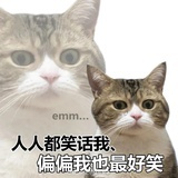 小趴菜