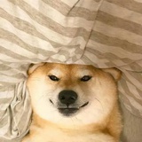 不该来地球