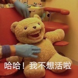 张晓芒