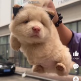 今天一定要早起