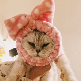 炭烧鱼骨头