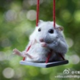 迷茫纠结啊喂