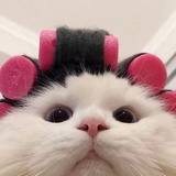 苏格