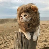 张一一