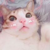 阔阔