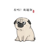 瘦到96斤再改名