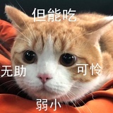 熬夜冠军奶茶酱