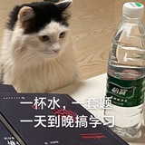 云芝