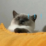 好久不见啦