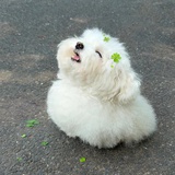 天地阔，且徜徉