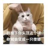 一键变傻
