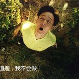 参天大葱