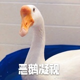 S只
