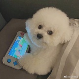 南瓜柠檬糖