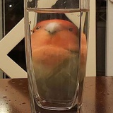 踏入禁区