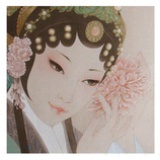 人淡如菊