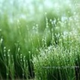 陈某某
