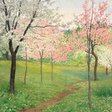 村上夏树