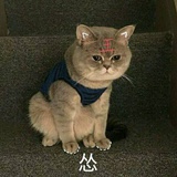 踽