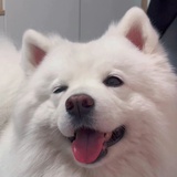 晚饭吃了没