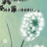 飞扬