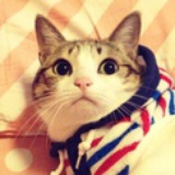 未来未来