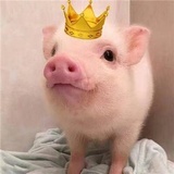 不停